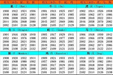 1982年出生|1982年出生是什么命？(水狗之命)